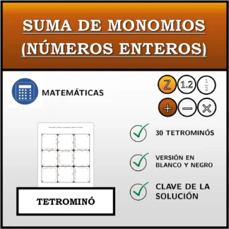 Tetrominó: Suma de monomios (números enteros)
